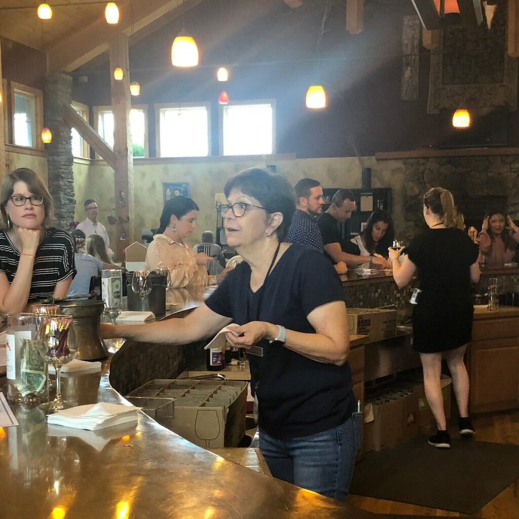 Northern Virginia Wine Tours - Delaplane VA
