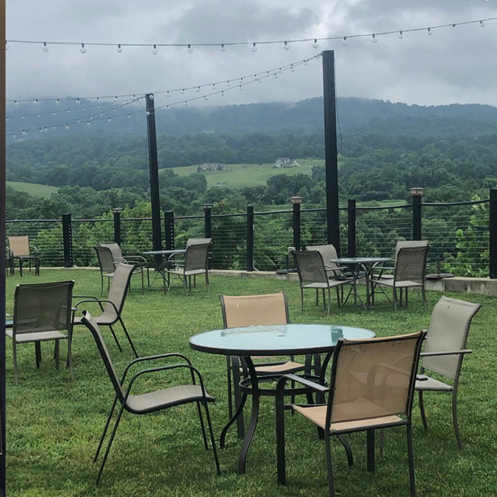 Northern Virginia Wine Tours - Delaplane VA