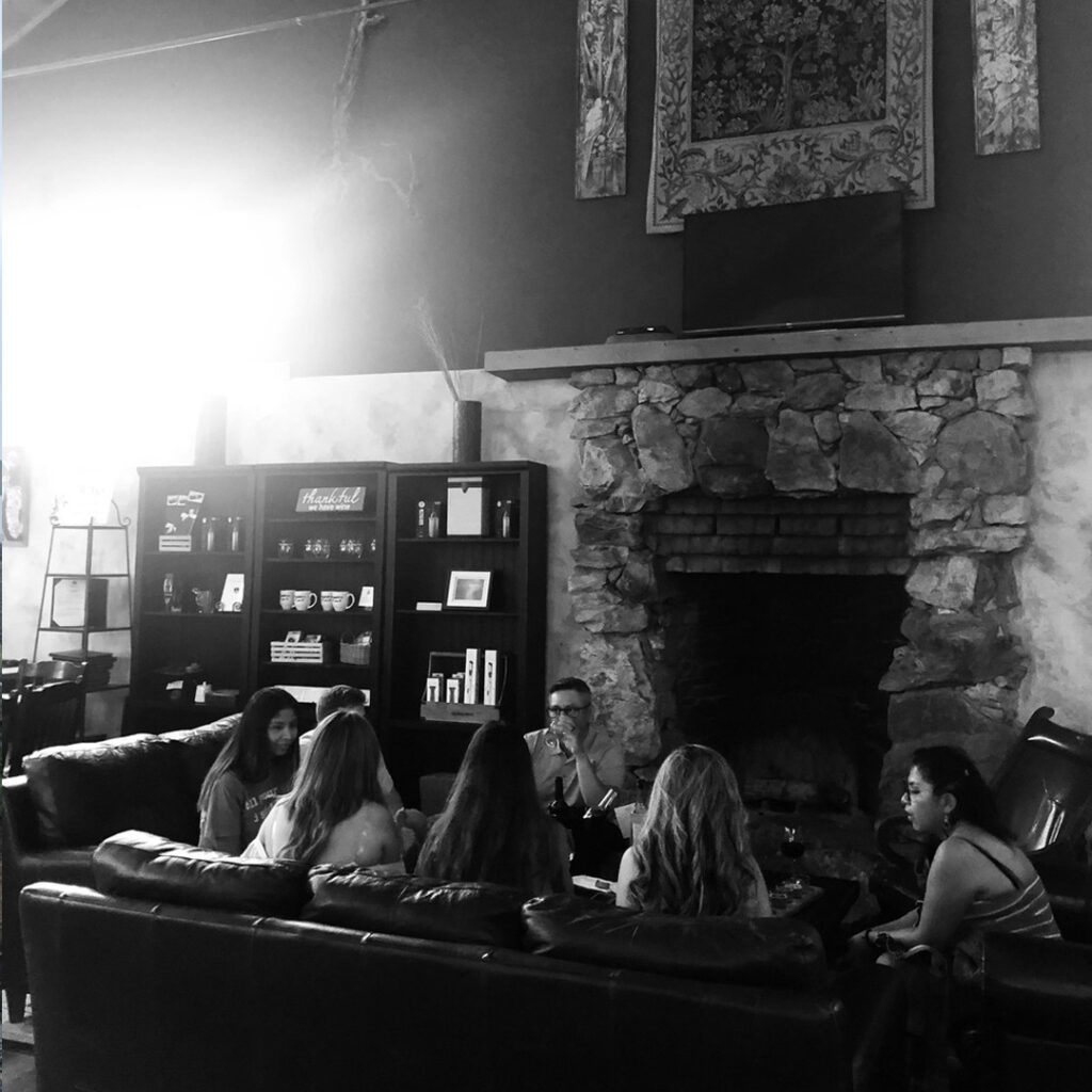 Northern Virginia Wine Tours - Delaplane VA