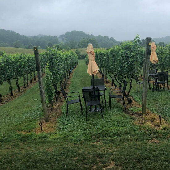 Northern Virginia Wine Tours - Delaplane VA