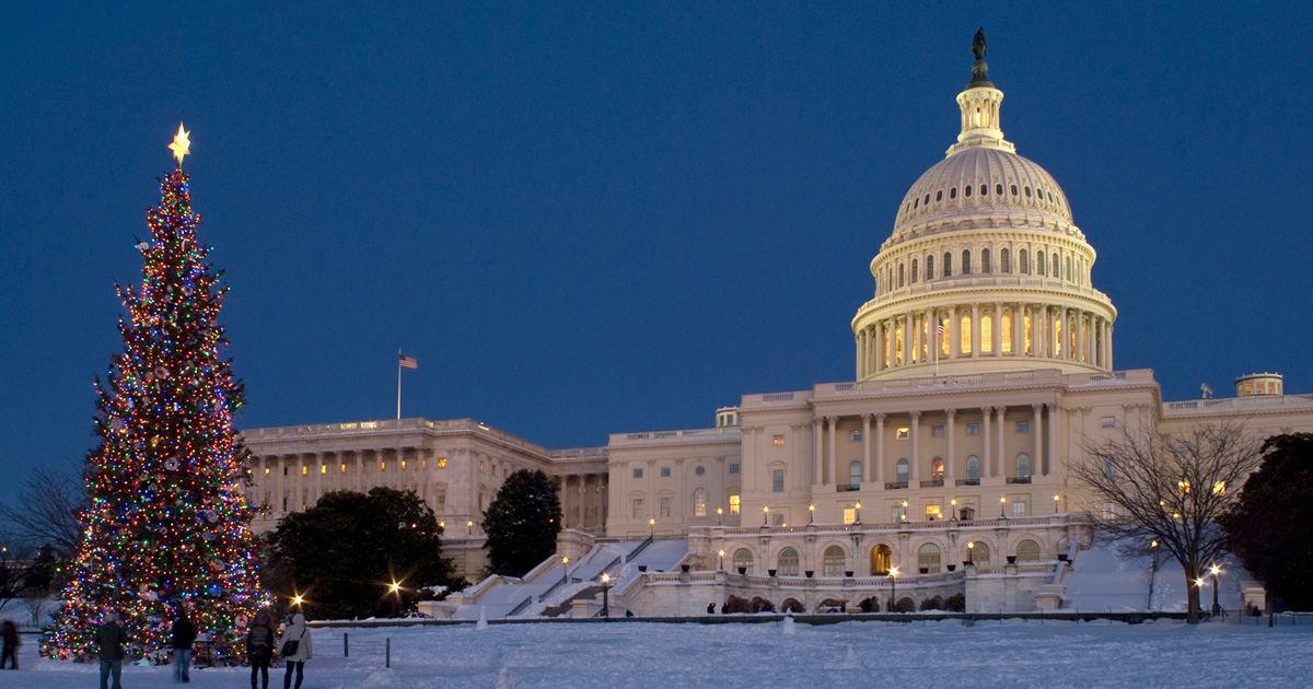 Washington DC Holiday Lights Tour