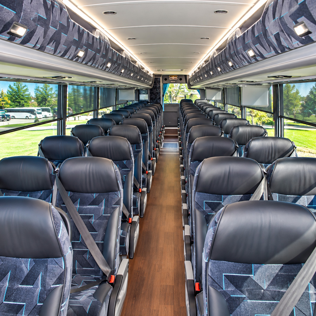 private bus tours washington dc2 Private Bus Tours Washington DC